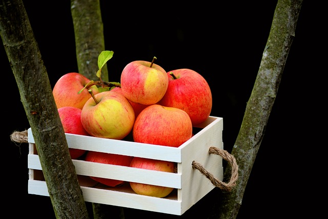 Sådan bygger du din egen æblekasse have
