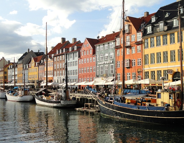 Eksperternes forklaring til Byggesagkyndig i København